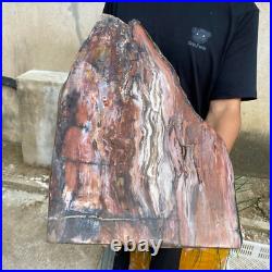 61.2lb Rare Natural petrified wood rough Wood fossil mineral specimen healing