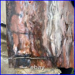 61.2lb Rare Natural petrified wood rough Wood fossil mineral specimen healing
