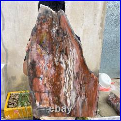 61.2lb Rare Natural petrified wood rough Wood fossil mineral specimen healing