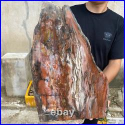 61.2lb Rare Natural petrified wood rough Wood fossil mineral specimen healing