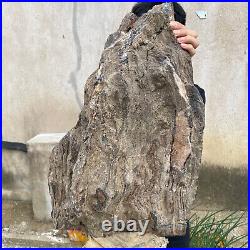 61.2lb Rare Natural petrified wood rough Wood fossil mineral specimen healing