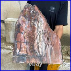 61.2lb Rare Natural petrified wood rough Wood fossil mineral specimen healing