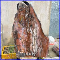61.2lb Rare Natural petrified wood rough Wood fossil mineral specimen healing
