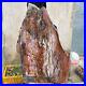 61lb_Rare_Natural_petrified_wood_rough_Wood_fossil_mineral_specimen_healing_01_qnp