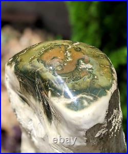 62.8 kg Rare Opalized Petrified Wood Decoration with a wooden stand