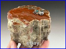 643 gr. Arizona Petrified Wood and sterling silver desert bug/spider paperweight