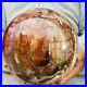 6580g_Large_Natural_Petrified_Wood_Fossil_Crystal_Geode_Sphere_Ball_Healing_01_hd