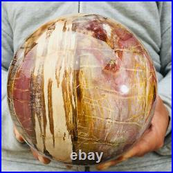 6580g Large Natural Petrified Wood Fossil Crystal Geode Sphere Ball Healing