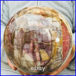 6580g Large Natural Petrified Wood Fossil Crystal Geode Sphere Ball Healing