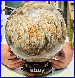 65.37LB Large Natural Fossil Petrified Wood Sphere Crystal Mineral Healing