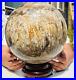 65_37LB_Large_Natural_Fossil_Petrified_Wood_Sphere_Crystal_Mineral_Healing_01_oqel