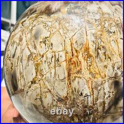 65.37LB Large Natural Fossil Petrified Wood Sphere Crystal Mineral Healing