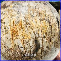 65.37LB Large Natural Fossil Petrified Wood Sphere Crystal Mineral Healing