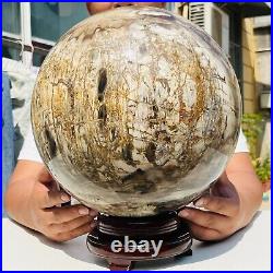 65.37LB Large Natural Fossil Petrified Wood Sphere Crystal Mineral Healing