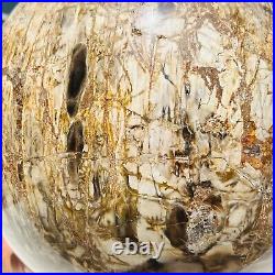 65.37LB Large Natural Fossil Petrified Wood Sphere Crystal Mineral Healing