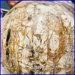 65.37LB Large Natural Fossil Petrified Wood Sphere Crystal Mineral Healing