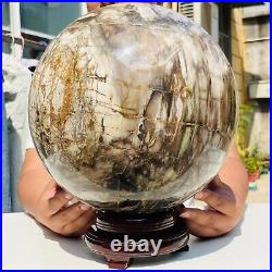 65.37LB Large Natural Fossil Petrified Wood Sphere Crystal Mineral Healing