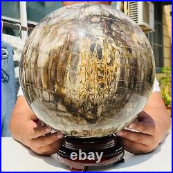 65.37LB Large Natural Fossil Petrified Wood Sphere Crystal Mineral Healing