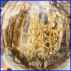 65.37LB Large Natural Fossil Petrified Wood Sphere Crystal Mineral Healing