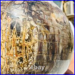 65.37LB Large Natural Fossil Petrified Wood Sphere Crystal Mineral Healing