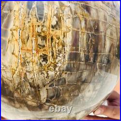 65.37LB Large Natural Fossil Petrified Wood Sphere Crystal Mineral Healing