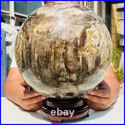 65.37LB Large Natural Fossil Petrified Wood Sphere Crystal Mineral Healing