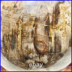 65.37LB Large Natural Fossil Petrified Wood Sphere Crystal Mineral Healing