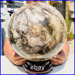 65.37LB Large Natural Fossil Petrified Wood Sphere Crystal Mineral Healing