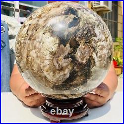 65.37LB Large Natural Fossil Petrified Wood Sphere Crystal Mineral Healing