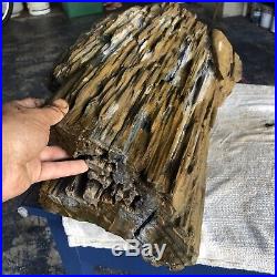 65lb! Rare Gem GIGANTIC TOP Petrified Wood Raw Fossil Crystal Log Specimen NC