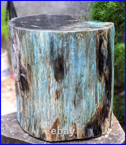 66.1 kg Rare Opalized Petrified Wood Polished for Home Decoration