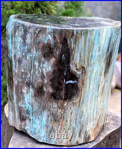 66.1 kg Rare Opalized Petrified Wood Polished for Home Decoration