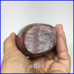 694g, 5.2x2.5x1.8 Natural Petrified Wood Freeform Polished Gemstones, B925