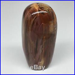 694g, 5.2x2.5x1.8 Natural Petrified Wood Freeform Polished Gemstones, B925