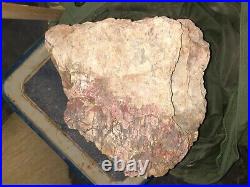69 Lb Petrified Wood Agatized Rainbow Coloration Nice Natural Piece Ancient Wood