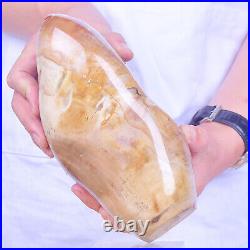 6.04LB Natural petrified wood Fossil quartz crystal Mineral Specimens healing
