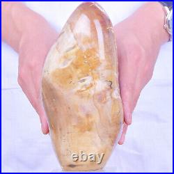 6.04LB Natural petrified wood Fossil quartz crystal Mineral Specimens healing