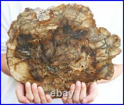 6.15lb POLISHED PETRIFIED WOOD FOSSIL AGATE Crystal SLICE DISPLAY Madagascar