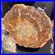 6_1LB_Rare_red_Natural_petrified_wood_rough_Wood_fossil_mineral_specimen_healing_01_vz