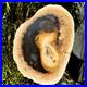 6_1LB_large_Natural_Petrified_Wood_Crystal_Fossil_Slice_Shape_Specimen_Healing_01_be