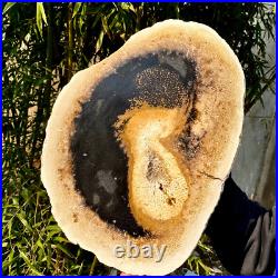 6.1LB large Natural Petrified Wood Crystal Fossil Slice Shape Specimen Healing 6.1LB large Natural Petrified Wood Crystal Fossil Slice Shape Specimen Healing