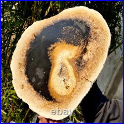 6.1LB large Natural Petrified Wood Crystal Fossil Slice Shape Specimen Healing 6.1LB large Natural Petrified Wood Crystal Fossil Slice Shape Specimen Healing