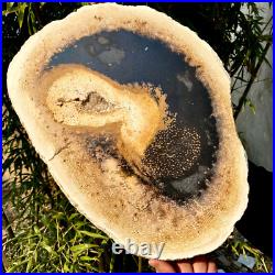 6.1LB large Natural Petrified Wood Crystal Fossil Slice Shape Specimen Healing 6.1LB large Natural Petrified Wood Crystal Fossil Slice Shape Specimen Healing