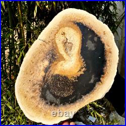 6.1LB large Natural Petrified Wood Crystal Fossil Slice Shape Specimen Healing 6.1LB large Natural Petrified Wood Crystal Fossil Slice Shape Specimen Healing