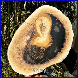 6.1LB large Natural Petrified Wood Crystal Fossil Slice Shape Specimen Healing 6.1LB large Natural Petrified Wood Crystal Fossil Slice Shape Specimen Healing