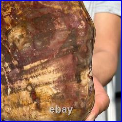 6.24LB Natural Fossil Petrified Wood Polished Freeform Crystal Mineral Healing
