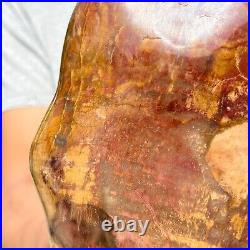 6.24LB Natural Fossil Petrified Wood Polished Freeform Crystal Mineral Healing