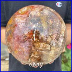 6.2lb Natural Petrified Wood Crystal Ball Fossil Polished Sphere Specimen