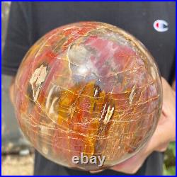 6.2lb Natural Petrified Wood Crystal Ball Fossil Polished Sphere Specimen