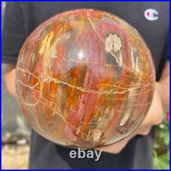 6.2lb Natural Petrified Wood fossil Quartz sphere Crystal Ball specimen Healing